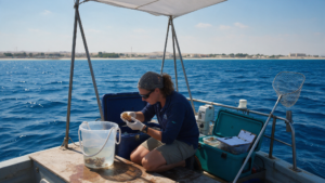 UAE Blue Visa: The New 10-Year Residency Route for Climate and Marine Conservation Work